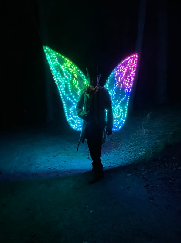 Monsieur Papillon, Led Walking Act